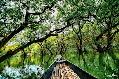 Ratargul Swamp Forest