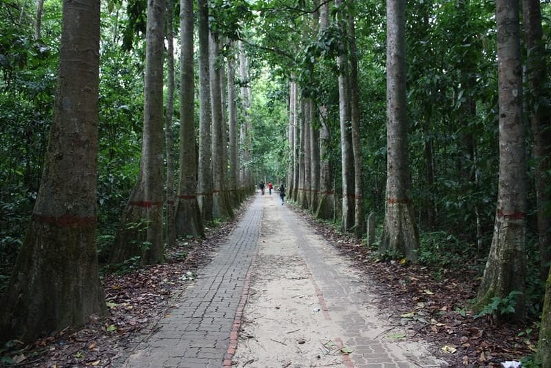 Lawachara National Park