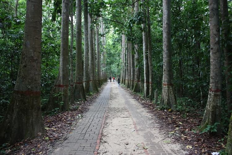 Lawachara National Park