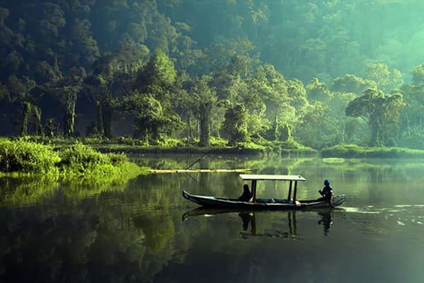 Satchari National Park