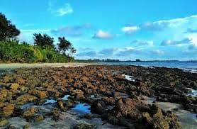 সেন্ট মার্টিন