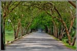 Nijhum Dwip