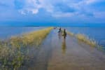 Mini Cox's Bazar