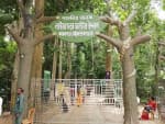 Lawachara National Park