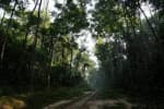 Lawachara National Park
